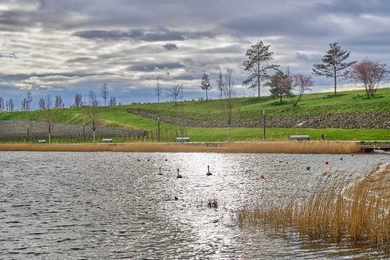 Blick über Karlssee