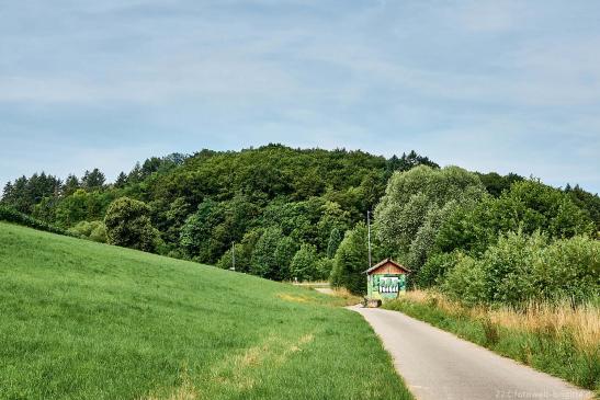 Blick auf den Daisbacher Wald