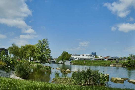 Blick auf Neckar 1