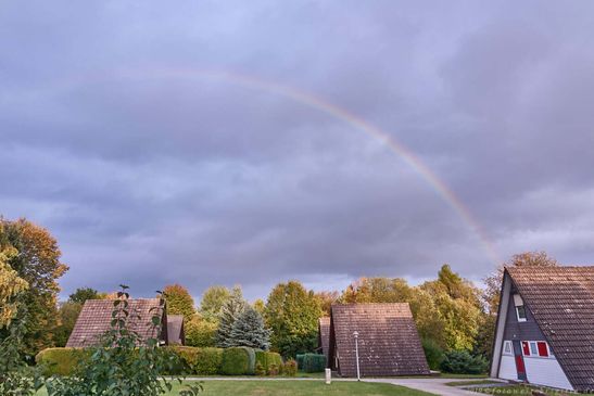 Waldkatzenbach