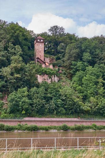 Blick vom Neckar gegenüber