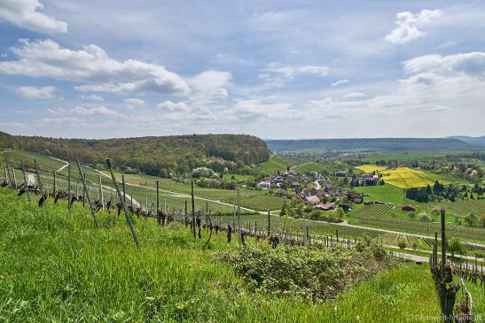 Blick auf Buchhorn