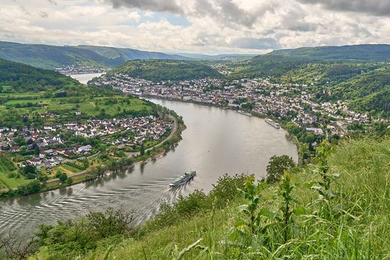 Blick auf Boppard und links vom Rhein Filsen