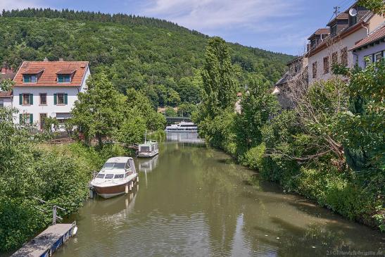 Mündung der Elsenz in den Neckar