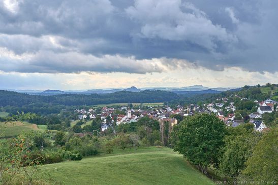 Blick vom Vogelherd auf die Stadt