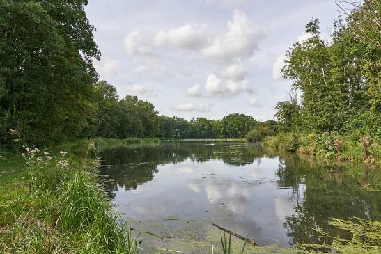 Lerchensee