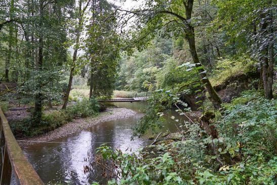 ehemaliger Weg mit Brücke