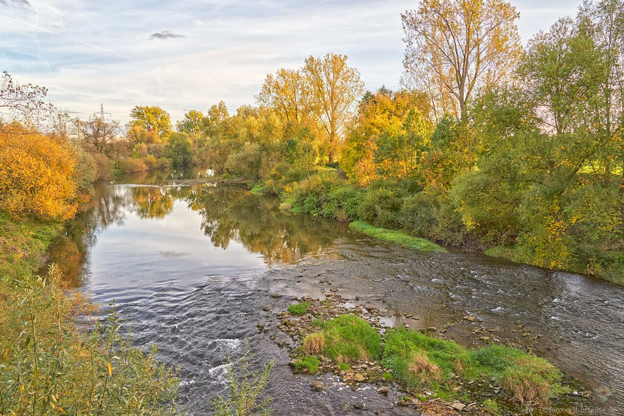 Blick von der historischen Brücke auf den Neckar bei Neckarsulm