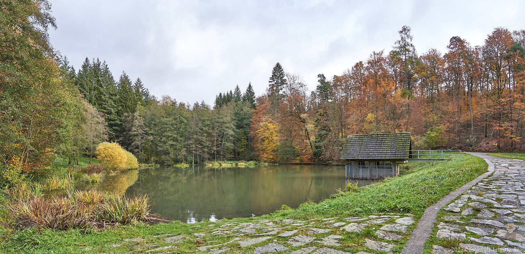 herbstlicher Michelbachsee bei Aglasterhausen-Michelbach