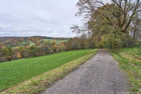 Blick zurück Richtung Abzweigung vom Weg nach Dilsberg