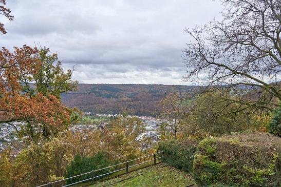 Blick auf Neckarsteinach