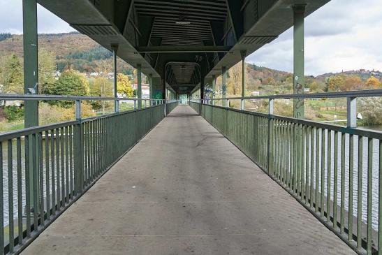 Neckarbrücke - Fußgänger, Radfahrer, Eisenbahn