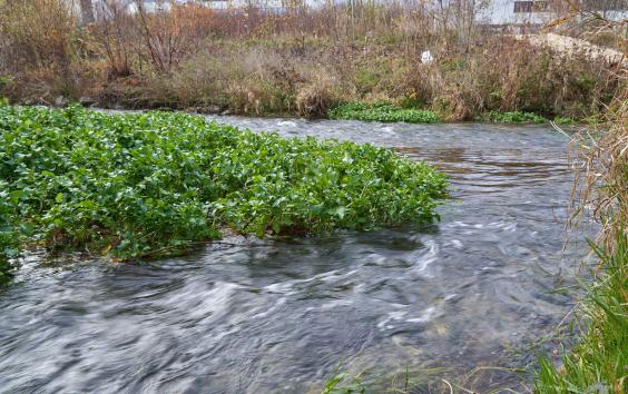 Zusammenfluss