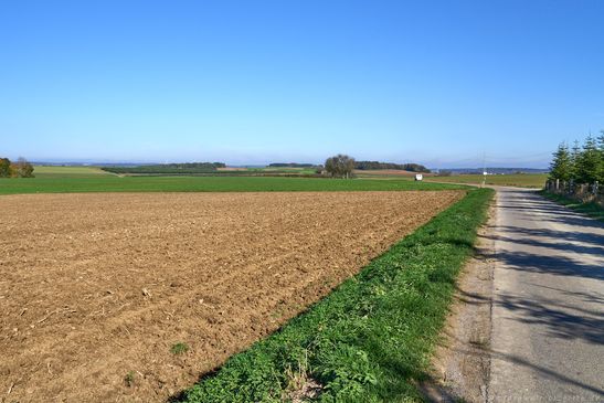 Blick zurück