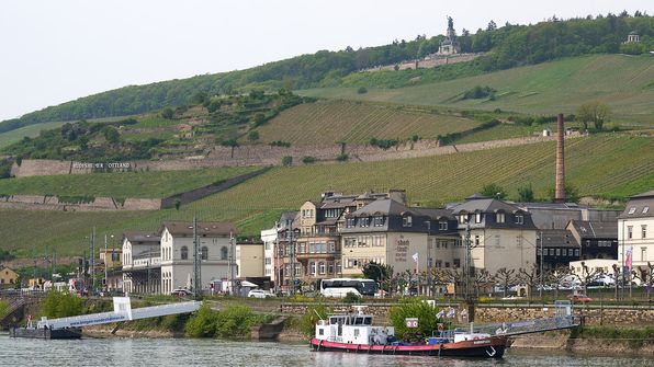 Rüdesheim  mit Niederwaldenkmal im Hintergrund