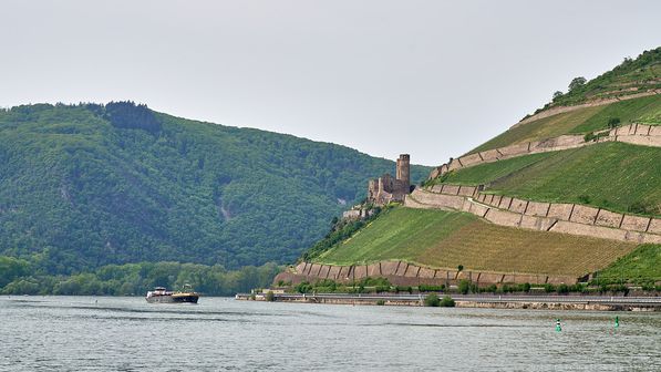 Burg Ehrenfels