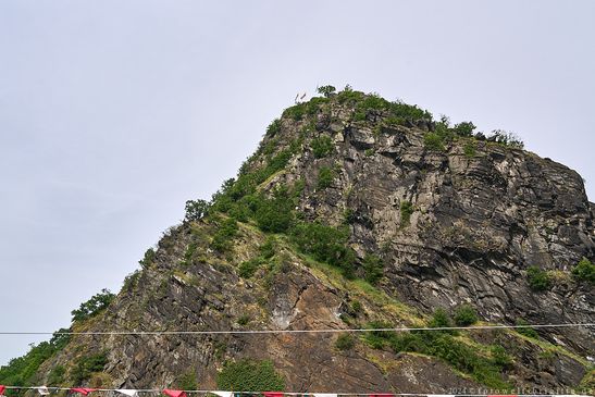 Loreley