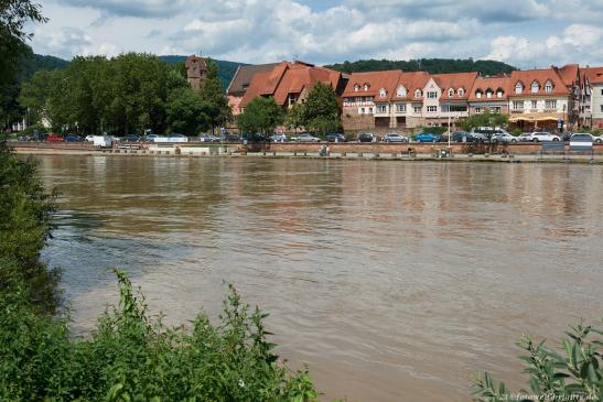 Neckar