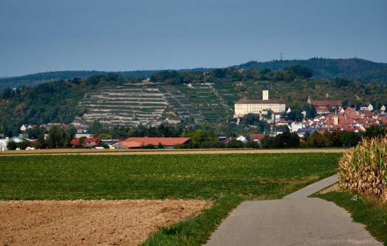 Blick auf Gundelsheim