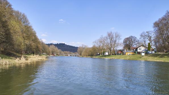 Donau im Frühling