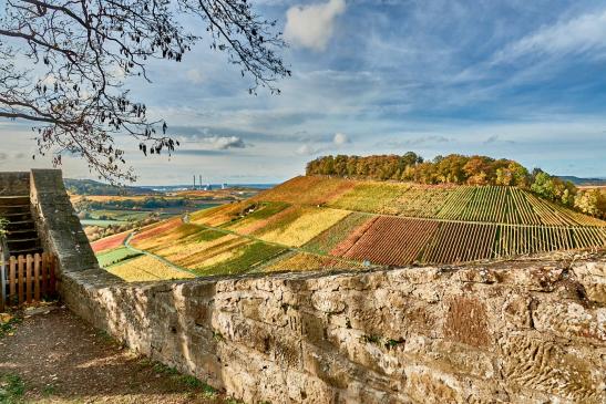 im Hintergrund der Schemelsberg